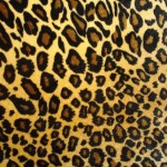 leopard print